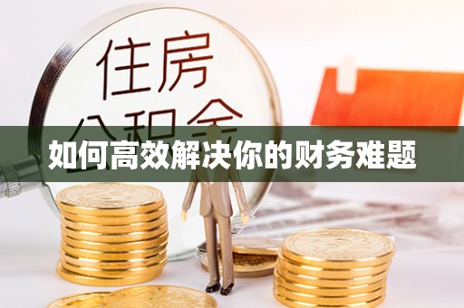 二道如何高效解决你的财务难题